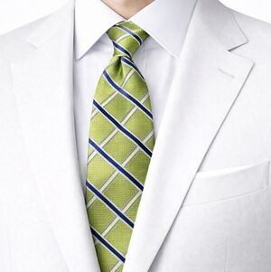 Men's Tommy Hilfiger green and blue Ginham design necktie Stylish